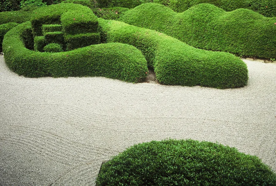 Gepflegte Grünanlage mit geschnittener Hecke